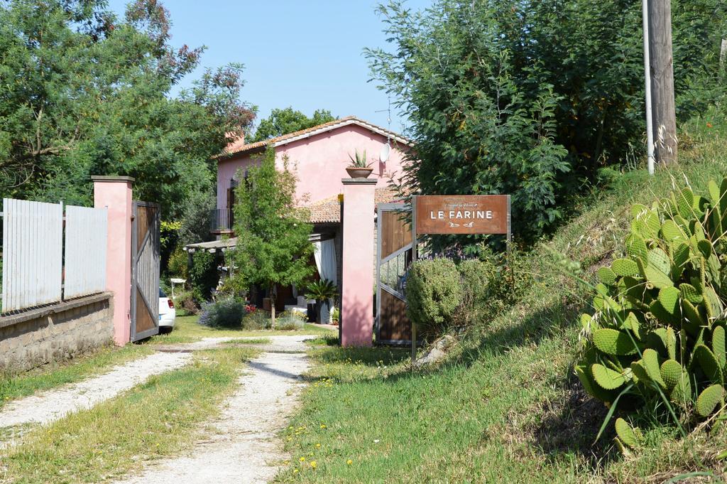 Il Casale Alle Farine Viterbo Ngoại thất bức ảnh